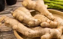 Hôm nay tôi mới phát hiện ra 2 mẹo bảo quản gừng cực kỳ dễ dàng, gừng để nửa năm vẫn tươi, không khô hỏng