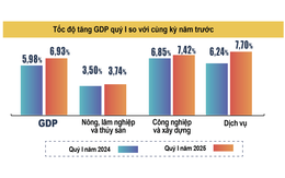 Cơ hội sở hữu bất động sản giá trị thật Izumi City Cơ hội sở hữu bất động sản giá trị thật Izumi City
