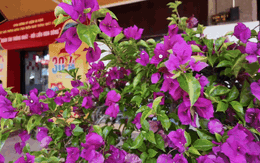 Ga Đà Nẵng trước giờ khắc đặc biệt, đón 2 chuyến tàu Thống Nhất trong ngày 30/4