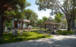 Chuyên gia nước ngoài, digital nomad và nhu cầu coworking space tại Nghệ An