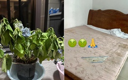 Dù giàu hay nghèo, nếu có 7 thứ này trong nhà bạn cần phải "tiễn" chúng ngay! Dù giàu hay nghèo, nếu có 7 thứ này trong nhà bạn cần phải "tiễn" chúng ngay!