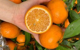 5 loại quả ngọt nhưng an toàn cho người tiểu đường: Chuyên gia khuyên nên bổ sung mỗi ngày