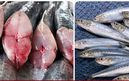 5 loại cá béo có hàm lượng Omega-3 cao nhất, nên ăn thường xuyên