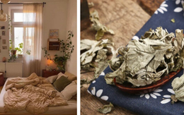 Mẹ âm thầm giấu 1 túi ngải cứu ở đầu giường, đến khi tận mắt thấy 3 "món quà" quý giá xuất hiện trong nhà tôi mới hiểu lý do