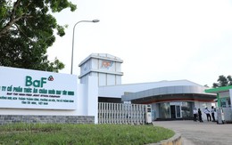 Ngỡ ngàng doanh thu của Vinamilk, BAF