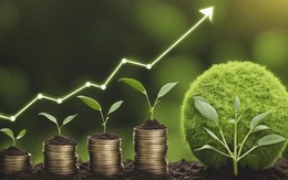 Đâu là nền tảng then chốt để xây dựng thị trường tài chính xanh bền vững?