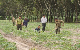 Vietcap khởi động dự án cộng đồng "Go Green Go Up"