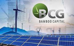 Bamboo Capital có Tổng Giám đốc mới
