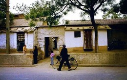 Năm 1972, anh em tôi tới nhà chú để vay 20kg gạo, khi mở chiếc túi ra, mẹ tôi đã rất sốc Năm 1972, anh em tôi tới nhà chú để vay 20kg gạo, khi mở chiếc túi ra, mẹ tôi đã rất sốc