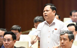 Ngành điện rất thua lỗ, sao vẫn cứ độc quyền? Ngành điện rất thua lỗ, sao vẫn cứ độc quyền?