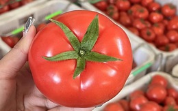 Mua cà chua đừng chọn trái đỏ rực căng mọng – người trồng lâu năm chỉ chọn 3 kiểu quả “xấu nhưng ngon” này
