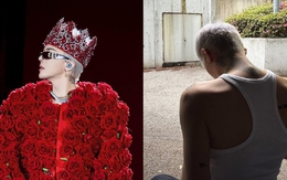 Vừa xác nhận đến Việt Nam, "ông 789bet wiki" G-Dragon đã "gây bão"