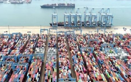 Mỹ vừa chi hơn 3 tỷ USD 'chốt đơn' một mặt hàng của Việt Nam: Nước ta xuất khẩu thứ 2 thế giới, được ông Trump miễn trừ khỏi thuế đối ứng Mỹ vừa chi hơn 3 tỷ USD 'chốt đơn' một mặt hàng của Việt Nam: Nước ta xuất khẩu thứ 2 thế giới, được ông Trump miễn trừ khỏi thuế đối ứng