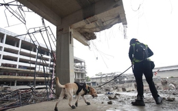 Thái Lan kết thúc tìm kiếm tại tòa nhà sập do động đất, tìm được 89 thi thể