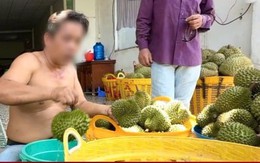 Nỗi oan sầu riêng 'nhúng thuốc' Nỗi oan sầu riêng 'nhúng thuốc'