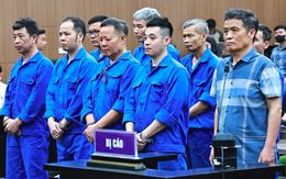 Vụ buôn lậu đất hiếm gây thiệt hại 736 tỷ đồng: Cựu Thứ trưởng Bộ TN&MT được đề nghị án treo