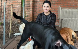 "Chị bán gạo" hot nhất TikTok xây villa cho cún cưng, 2 triệu người cảm thấy... "thua đời" "Chị bán gạo" hot nhất TikTok xây villa cho cún cưng, 2 triệu người cảm thấy... "thua đời"