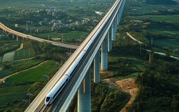 Phó Thủ tướng: Việt Nam không phân biệt giữa doanh nghiệp Nhà nước hay tư nhân việc tham gia đầu tư và phát triển các dự án đường sắt hiện đại, tốc độ cao