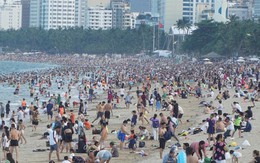 Xuất hiện sứa lửa ở biển Nha 789bet uy tín