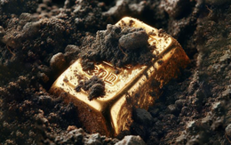 Phát hiện hơn 13kg vàng trị giá 24 tỷ đồng trong nhà bếp