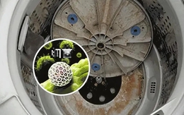 Một món đồ cần vệ sinh định kỳ trong nhà nhưng bị nhiều người lãng quên, để bẩn rất dễ nhiễm bệnh