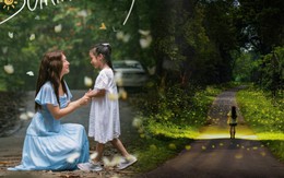 Cảnh tượng không tin nổi tại rừng Cúc Phương: Chỉ 8 tiếng cũng đủ chứng kiến 2 khung cảnh đẹp như "thế giới thần tiên"