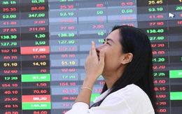 Một công ty chứng khoán sắp trả cổ tức tỷ lệ 43% Một công ty chứng khoán sắp trả cổ tức tỷ lệ 43%