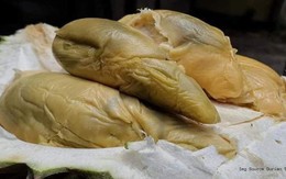 Giới "sành ăn" 789bet link mới giống quả mới: Mùi thơm quyến rũ, hương vị đặc biệt không thể lẫn vào đâu được