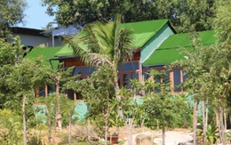 Tạm đình chỉ chức vụ Chủ tịch UBND phường Mũi Né