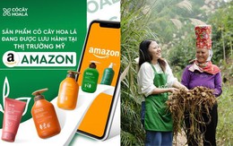 Tuổi trẻ xông pha, nông sản vươn xa: Cỏ Cây Hoa Lá đổ bộ Amazon