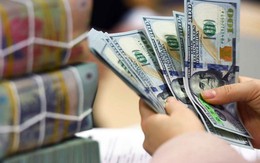 Ngày 16/5: Ngân hàng Nhà nước tiếp tục giảm tỷ giá USD, giá đô la tự do lao dốc