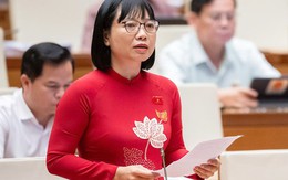 Đại biểu Quốc hội lo ngại "công ty ma" lợi dụng khi chuyển sang cơ chế hậu kiểm