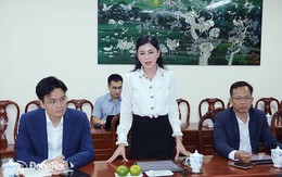 Tập đoàn của ông Johnathan Hạnh Nguyễn muốn đầu tư khu thương mại tự do 8.000 hecta ở gần sân bay Long Thành