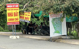 Giữ lô đất 10 năm không bán, giá tăng gấp 7 lần, nhà đầu tư này vẫn tự tin: “Tôi chờ thêm 10 năm nữa” Giữ lô đất 10 năm không bán, giá tăng gấp 7 lần, nhà đầu tư này vẫn tự tin: “Tôi chờ thêm 10 năm nữa”