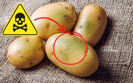 4 loại rau củ đầy độc tố, đã không bổ béo còn phá nội tạng, “cấu kết” với tế bào ung thư nhưng nhà nào cũng có