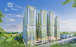 Khám phá 3 trụ cột chính tạo nên ngôi nhà dưỡng lành giữa trung tâm Đông Bắc TP.HCM