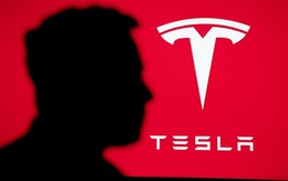 Sức mạnh của Elon Musk: Tuyên bố giảm bớt công việc ở Nhà Trắng để tập trung cho Tesla, cổ phiếu công ty tăng tới 32% chỉ sau 1 tháng
