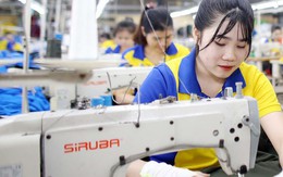 Tin vui “đặc biệt”: Doanh nghiệp SME được miễn thuế thu nhập trong 3 năm, startup đổi mới sáng tạo nhận “mưa” ưu đãi thuế Tin vui “đặc biệt”: Doanh nghiệp SME được miễn thuế thu nhập trong 3 năm, startup đổi mới sáng tạo nhận “mưa” ưu đãi thuế