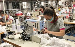 May Sông Hồng sắp phát hành 37,5 triệu cổ phiếu thưởng cho cổ đông