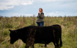 Cú sập ‘trái phiếu bò’ lan khắp Uruguay từ vụ đâm xe Tesla