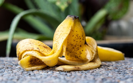 Thứ tưởng bỏ đi nhưng lại có công dụng "vàng 10" với sức khỏe, hầu như nhà nào cũng có