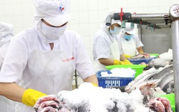 5 khoản tiền người lao động được nhận khi nghỉ việc từ năm 2025 5 khoản tiền người lao động được nhận khi nghỉ việc từ năm 2025