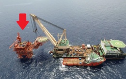 Tin vui: Việt Nam có "kho báu" từnhà cái 789bet được Úc, Malaysia định giá chỉ 1 USD, sau 30 năm lên tới 160.000 tỷ đồnhà cái 789bet