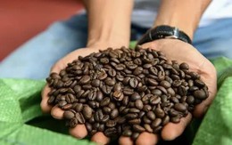Giá cà phê giảm sâu Giá cà phê giảm sâu