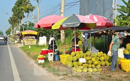 Sầu riêng ‘rẻ như bèo’ bán đầy đường Sầu riêng ‘rẻ như bèo’ bán đầy đường