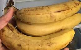 7 thực phẩm này để tủ lạnh là SAI LẦM, nhiều người không biết bảo sao "bệnh từ miệng mà vào"