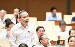 Đề xuất 16 tuổi có quyền góp vốn và tham gia thành lập doanh nghiệp Đề xuất 16 tuổi có quyền góp vốn và tham gia thành lập doanh nghiệp