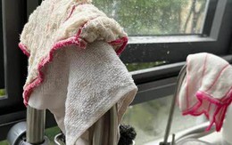 Nói thật: 5 vật 789bet nhà bếp nhà nào cũng có là "ổ vi khuẩn" nên vứt ngay
