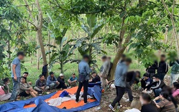 Bắt "ông trùm", phá đường dây đánh bạc tổ chức tinh vi và c789bet có uy tín khôngên nghiệp trong rừng