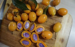 Loại quả dùng để nấu 789bet hoangsa.net ngon hơn sấu, được ví như thuốc bổ, bán đầy chợ giá chỉ vài chục nghìn/cân
